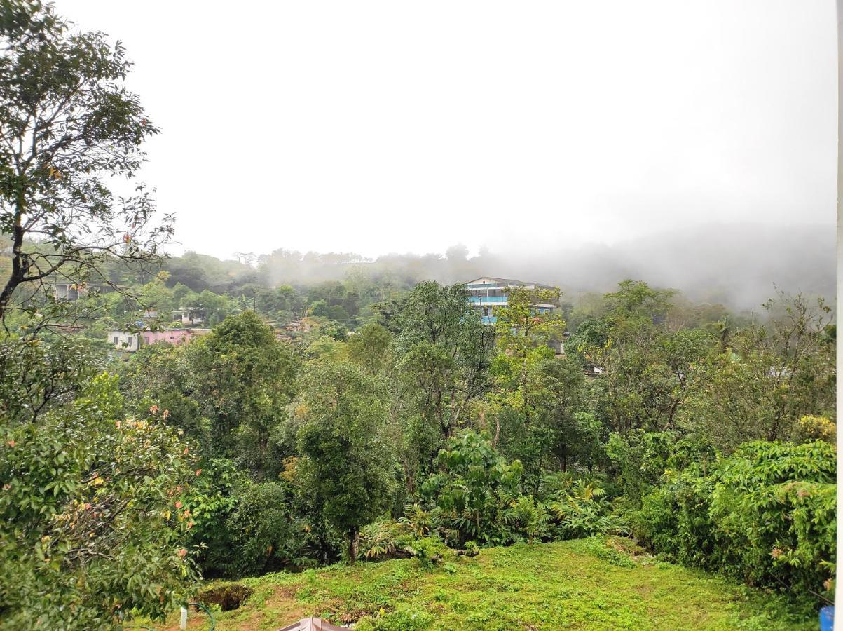Winter Woods Homestay