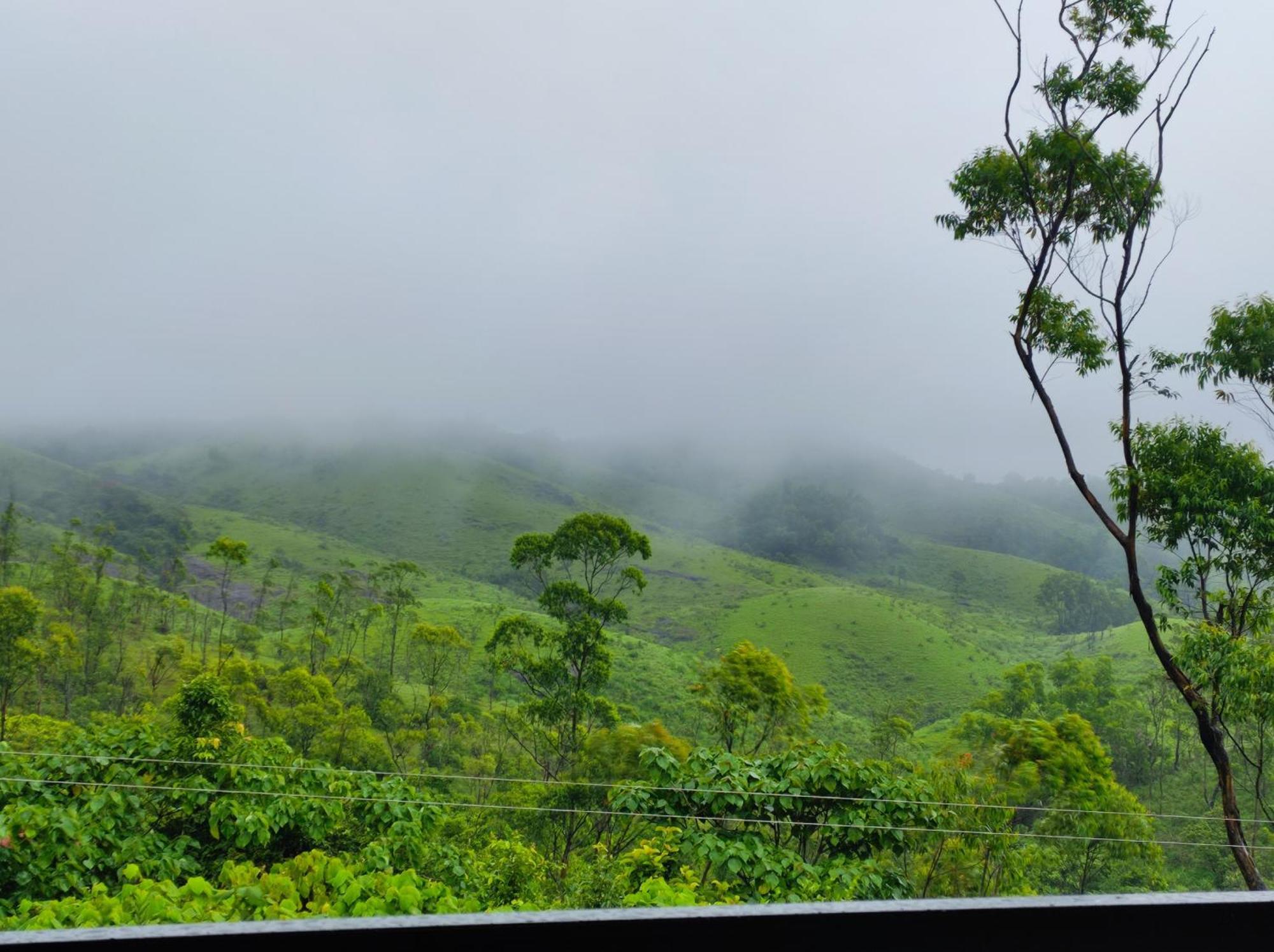 Winter Woods Vagamon