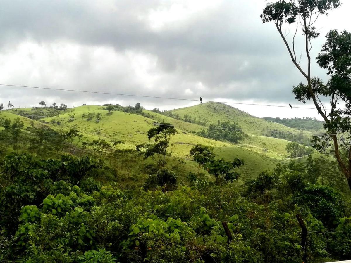 Winter Woods Homestay Vagamon