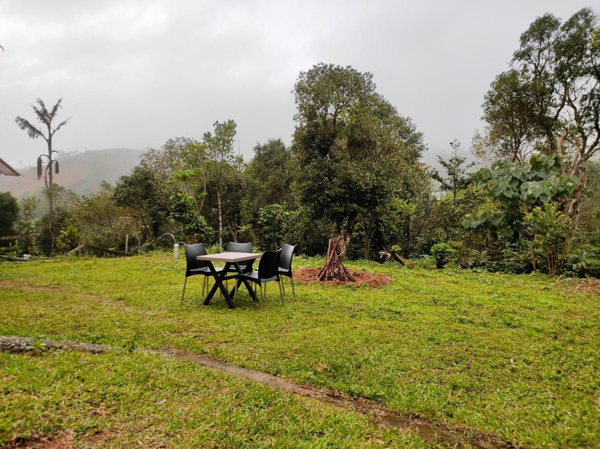 Winter Woods Vagamon