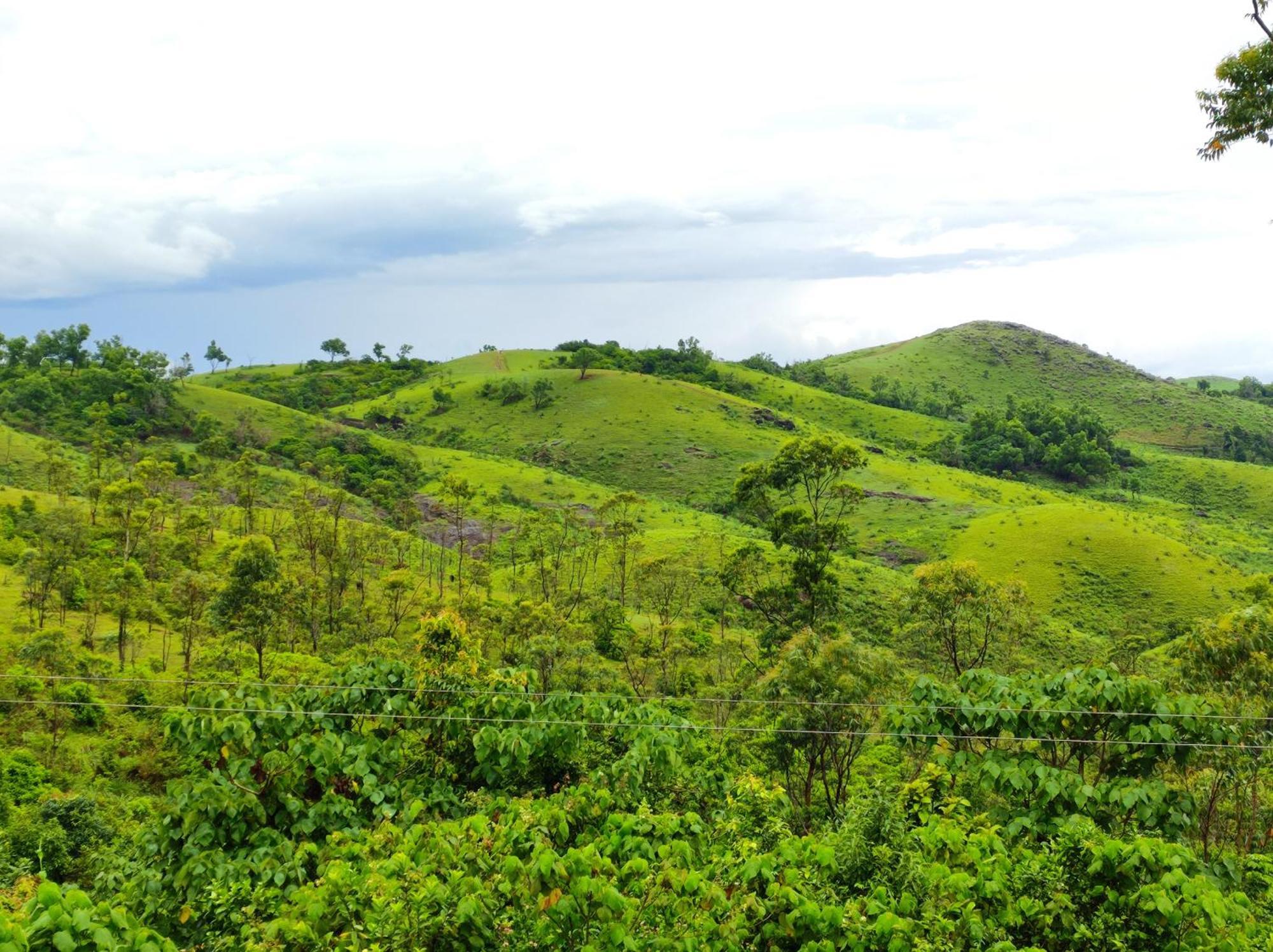 Homestay Winter Woods Vagamon