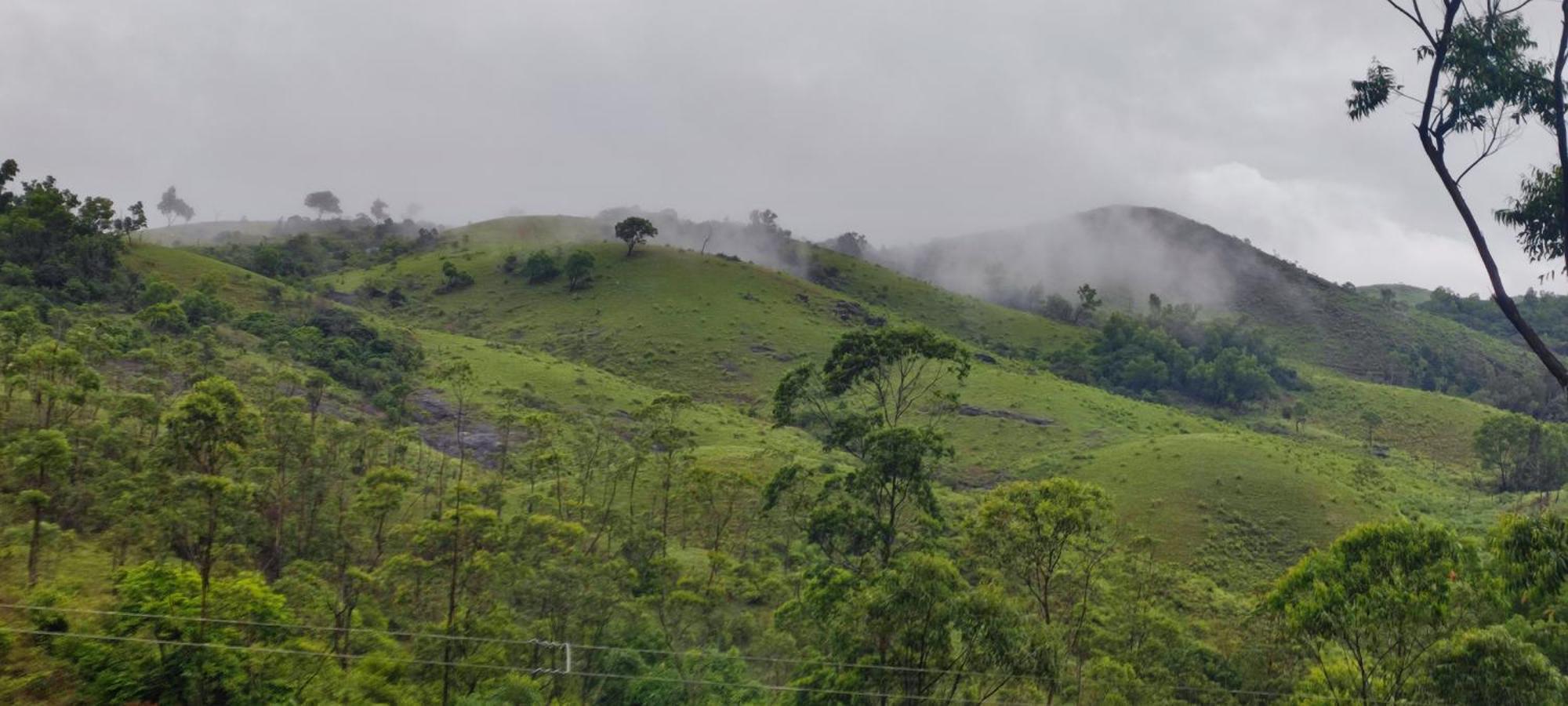 Winter Woods * Vagamon