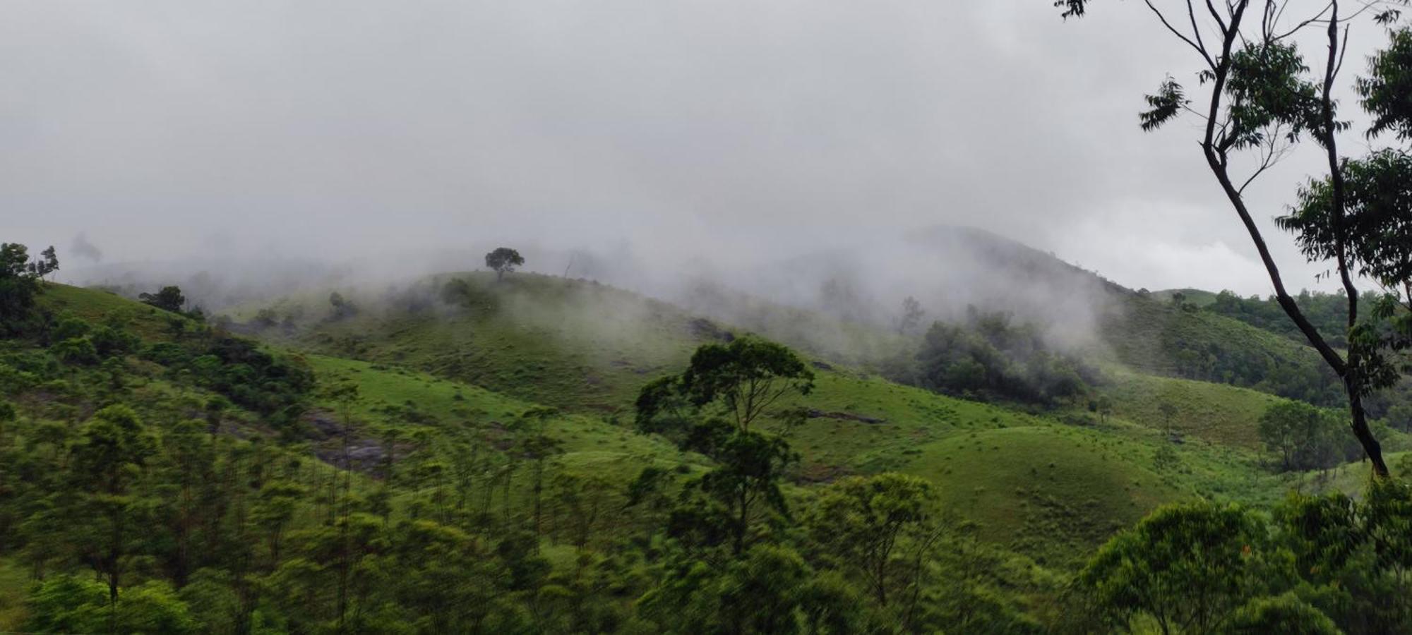 Homestay Winter Woods Vagamon